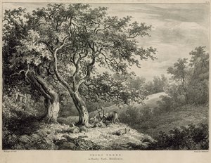 ふさふさした公園、ミドルセックスのとげの木 作： William Burges