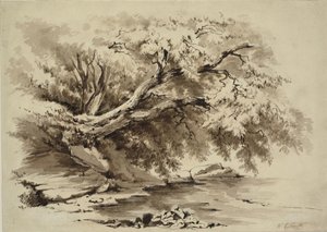 湖に張り出した木々のある風景 作： William Collingwood Smith