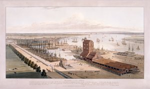 ロンドンのポプラにあるブランズウィック・ドックとイースト・インディア・ドック、1803年