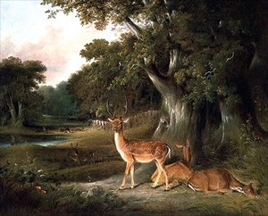 森の中の鹿 作： William Daniell