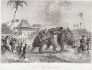 ラクナウで戦う象 作： William Daniell