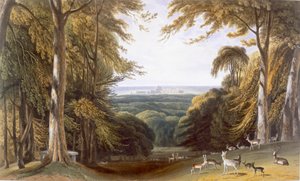 ビショップス ゲート近くのウィンザー パークのグレン、1827～30 年頃。 作： William Daniell