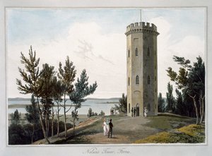 「ネルソンの塔、フォレス」、モーレイ、スコットランド、1821 作： William Daniell