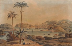 グレナダ島のセントジョージとリッチモンドハイツの町の景色。ウィルソン中佐、1819年に湾から撮影 作： William Daniell
