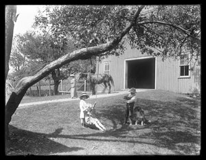 1913年頃、犬と子犬を連れたマクレディ家の子供たちが納屋の外のロープスイングに集まりました。 作： William Davis Hassler