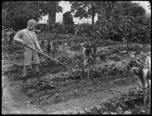 1914年8月5日、ニューヨーク市イシャムパークの学校の庭で働いているウィリアムグレイハスラー