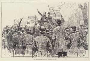 ハイドパーク会議、11月20日、日曜日 作： William Douglas Almond