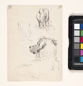Dog (Recto)、Dog And Cow (Verso) (クリーム紙にペンとインク) 作： William Forsyth