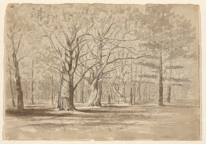 カレッジウッズ 作： William Fowler Hopson