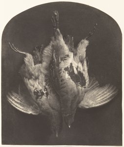 ライチョウの支柱 作： William Frederick Lake Price