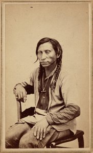 1860年代、グレー・ウルフ（写真）