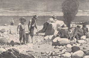 Sea-side Sketches - A Clam-Bake Harper
