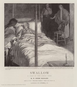 ツバメ、大冒険の物語 作： William Hatherell