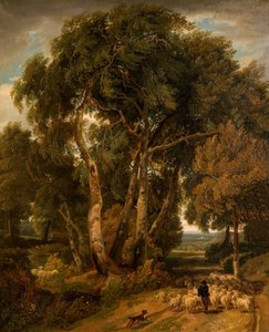 Driving Home The Flock』（1806年）。 作： William Havell