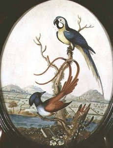 ライヤーバードとジェイ 作： William Hayes