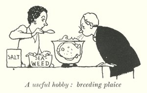 趣味として役立つプレイスの飼育（リトグラフ 作： William Heath Robinson