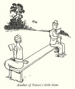 もうひとつの自然の小さなヒント（リトグラフ