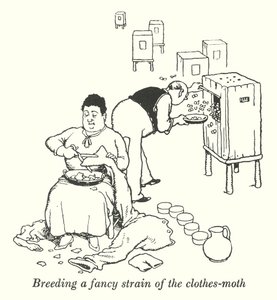 衣服の蛾のファンシーな系統を繁殖させる（リトグラフ 作： William Heath Robinson