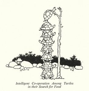 餌を探すカメたちの賢い協力関係（リトグラフ 作： William Heath Robinson