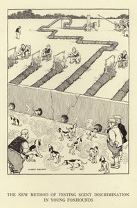 若いフォックスハウンドの香りの差別をテストする新しい方法 作： William Heath Robinson