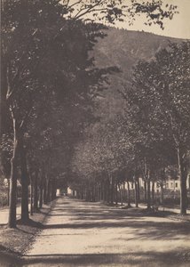 木の路地、ポー、1854年。 作： William Henri Gebhard