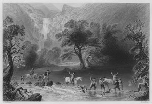 KillarneyのDerrycunnihy Cascadeの近くで牡鹿を捕まえる（エングレービング 作： William Henry (after) Bartlett