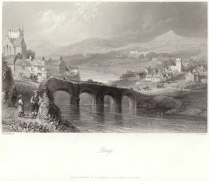 ウィックロー州のブレイ 作： William Henry Bartlett