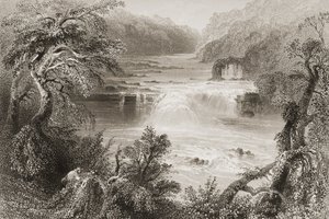 1860年代のジョージ・バーチューによる「アイルランドの風景と古代」からのキルデア州リークスリップでのサーモンリープ 作： William Henry Bartlett