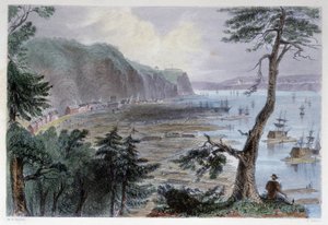 Timber Déposition près de Québec - Bartlett W. H. による「Canadian scenery illustrated」にて。 作： William Henry Bartlett