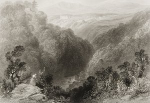 1860年代のジョージ・バーチューによる「アイルランドの風景と古代」からのウィックロー州ダーグルからのパワーズコートの眺め 作： William Henry Bartlett