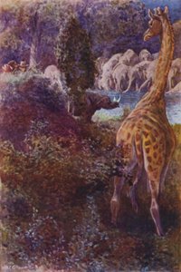 R・M・バランタイン著「The Gorilla Hunters」のイラスト（カラーリトグラフ）。 作： William Henry Charles Groome