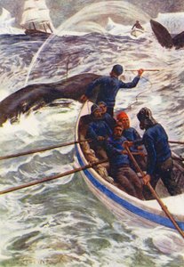 氷の世界、あるいはイルカ号の捕鯨クルーズのイラスト（カラーリトグラフ） 作： William Henry Charles Groome