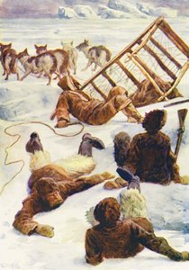 氷の世界、あるいはイルカ号の捕鯨クルーズのイラスト（カラーリトグラフ） 作： William Henry Charles Groome