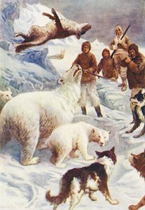 氷の世界、あるいはイルカ号の捕鯨クルーズのイラスト（カラーリトグラフ） 作： William Henry Charles Groome
