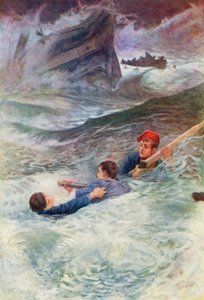 野生の海で苦労