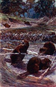 "They build a dam across the stream"(カラーリトグラフ) 作： William Henry Charles Groome