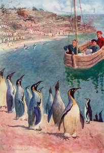 私たちは鳥を驚きと喜びで見つめ、彼らは興味を持って私たちの視線を返しました