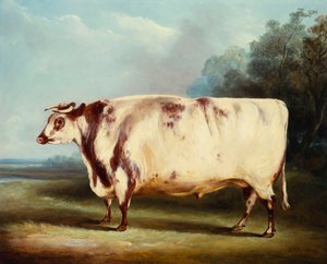 プライズブル、1839年