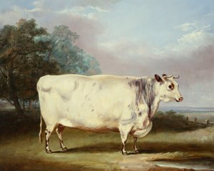 賞牛、1838