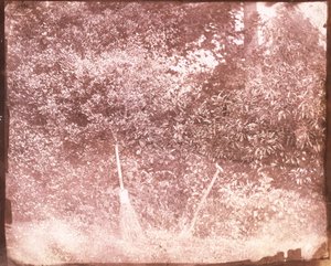 ほうきとスペード、1842 作： William Henry Fox Talbot