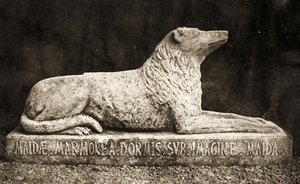マイダ像、ウォルタースコット卿のお気に入りの犬であると報告されています。 （セピア写真） 作： William Henry Fox Talbot