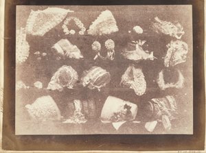 ミリナーズウィンドウ 作： William Henry Fox Talbot