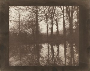 木と反射 作： William Henry Fox Talbot