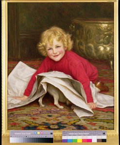 プレイメイト 作： William Henry Gore