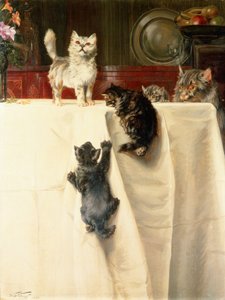 猫 作： William Henry Hamilton Trood