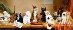 女性の権利-会議、1885 作： William Henry Hamilton Trood