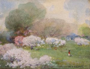 桜の花、n.d. 作： William Henry Holmes