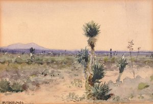 ユッカランド--メキシコ・チワワ州 n.a. 作： William Henry Holmes