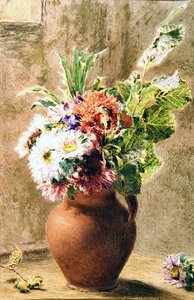 アスターの鉢 1840年頃 （紙に水彩、ボディカラー、鉛筆） 作： William Henry Hunt
