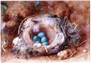 鳥の巣（紙と紀元前とトイレ） 作： William Henry Hunt
